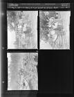 Family of Nine Burned out of Home in Ayden (3 Negatives) (May 6, 1954) [Sleeve 15, Folder a, Box 4]